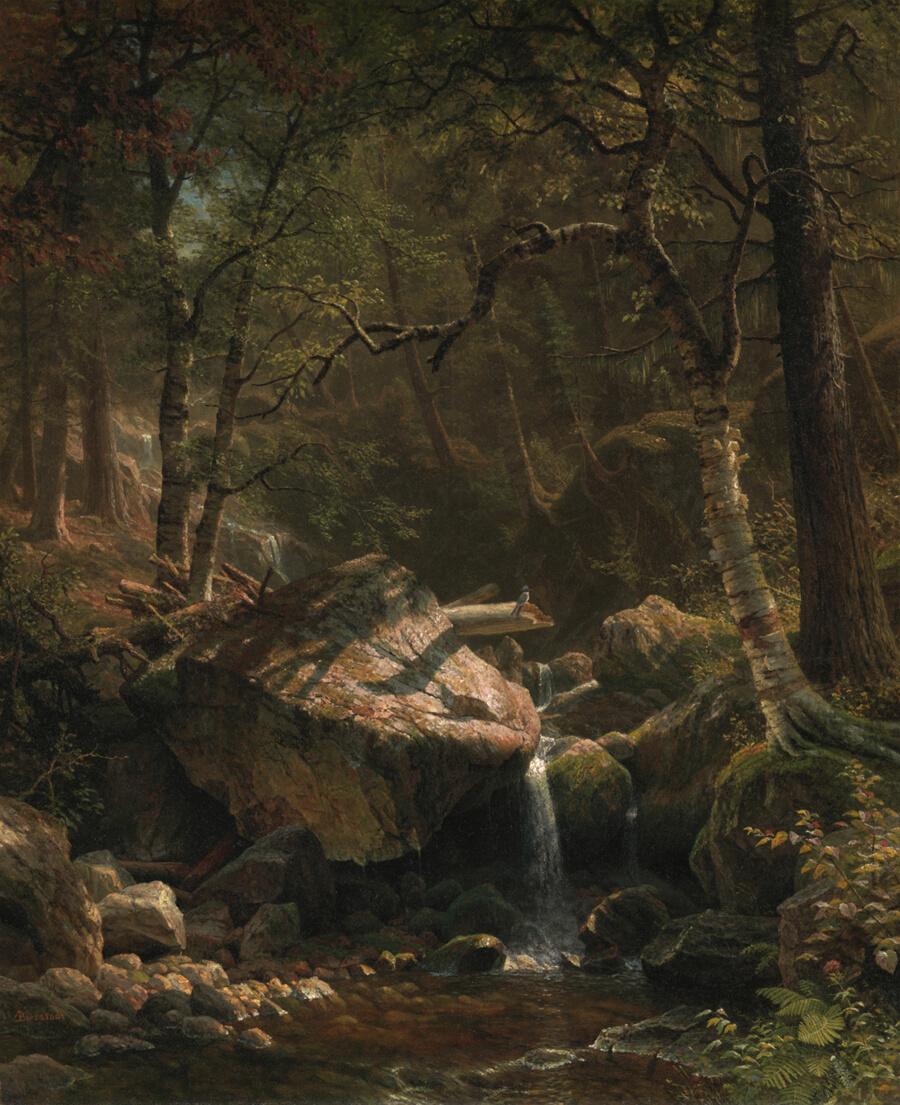 Historical artwork accompanying Art and the natural world