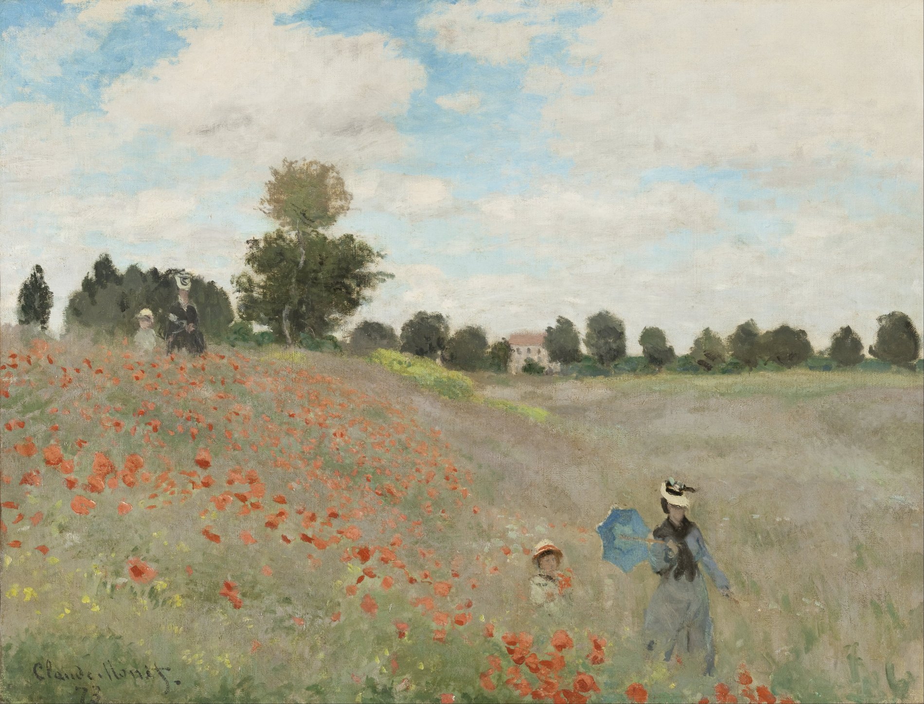 Poppies