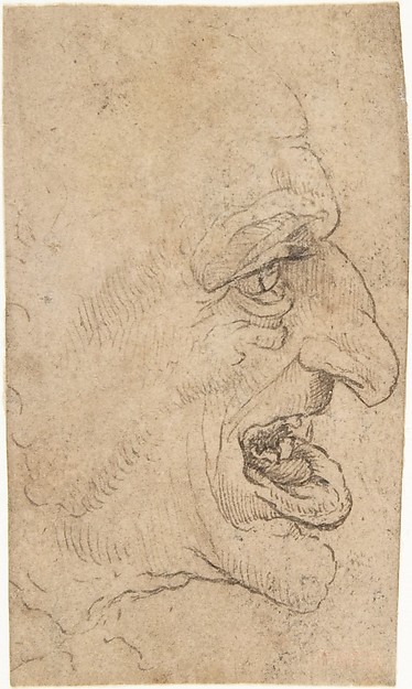 Head of a Grotesque Man by Leonardo da Vinci